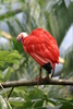 NC_zoo55.jpg