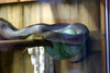 NC_zoo71.jpg