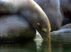 NC_zoo79.jpg