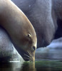 NC_zoo80.jpg