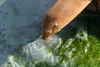 NC_zoo81.jpg