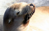 NC_zoo82.jpg