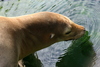 NC_zoo84.jpg