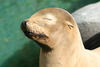NC_zoo86.jpg