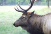 NC_zoo95.jpg