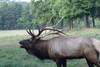 NC_zoo96.jpg