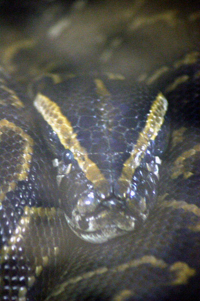 ../pictures/NC_zoo23.jpg