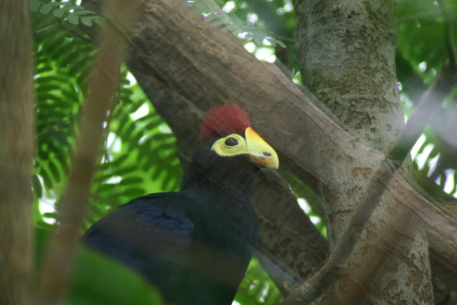 ../pictures/NC_zoo28.jpg