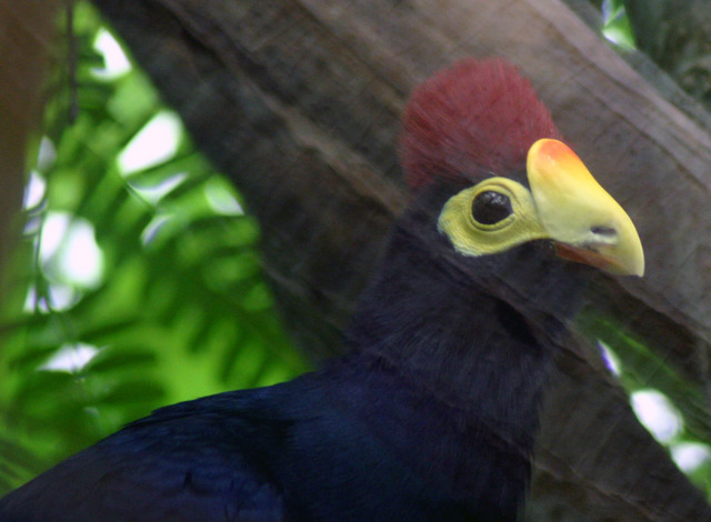 ../pictures/NC_zoo29.jpg