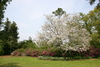 Airly_garden.jpg