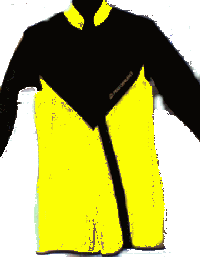 wet_suit.gif (6688 bytes)